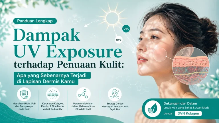 Ilustrasi dampak sinar UV pada lapisan dermis kulit dan proses photoaging