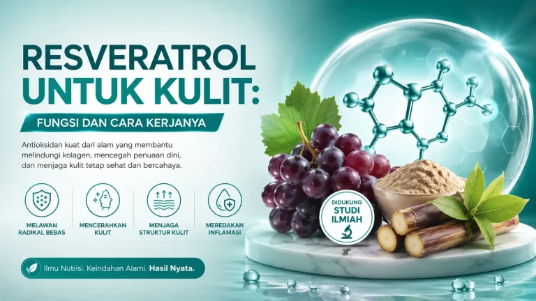ilustrasi cara kerja resveratrol untuk kulit sebagai antioksidan anti aging